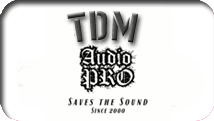 logo TDM partner of jazz-violin.com